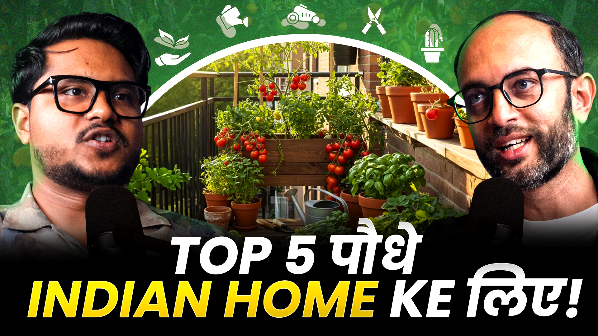Top 5 Plants For Indian Home